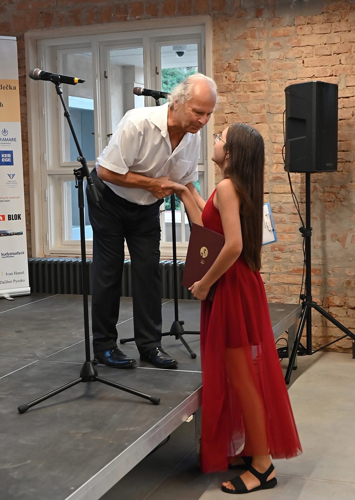 Lara Tamcan violin performance — photo 11
